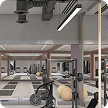 Female Gym